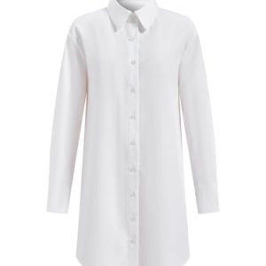 Women's Button Down Mini Shirt Dress Collared Long Sleeve Work Office Dresses