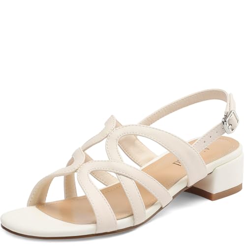 Women's Strappy Sandals Square Open Toe Low Block Heels Ankle Strap Heel for Women Dress Shoes